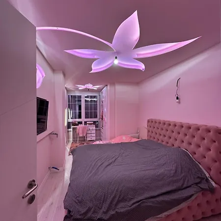 Amla's House Kashari
